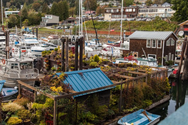 18sep2016_0115gibson