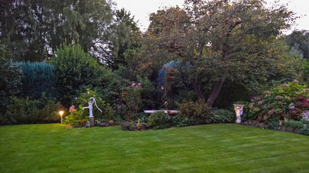 paradise_img-20160914-wa0002