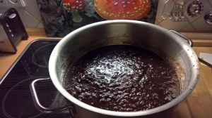 wp_20160911_20_23_05_pro