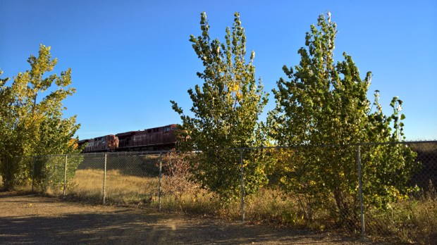 wp_20160927_08_46_31_pro