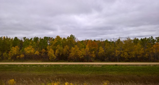 wp_20160928_11_54_39_pro