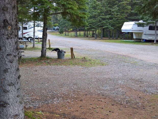 wp_20160930_08_59_31_pro_1