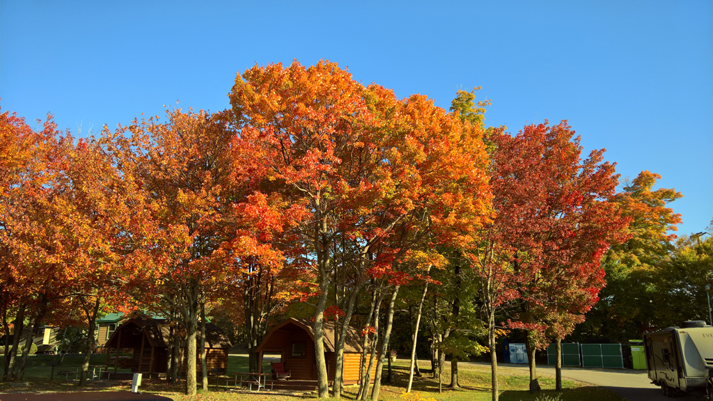 wp_20161006_09_19_14_pro