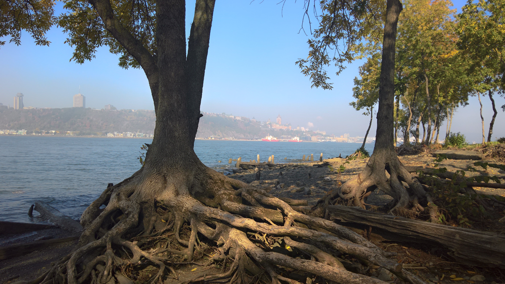 wp_20161007_10_45_09_pro