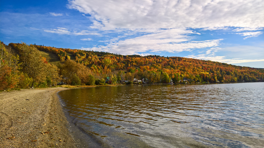 wp_20161007_15_42_44_pro