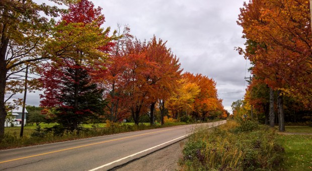 wp_20161009_12_11_06_prowege