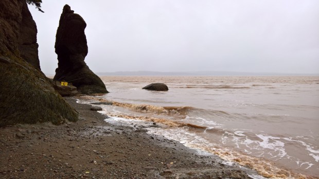 wp_20161010_09_27_29_pro