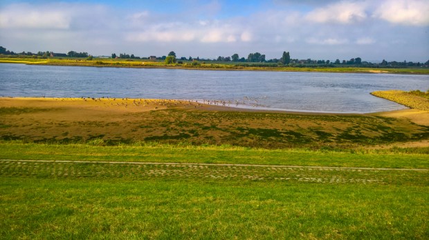 wp_20161016_15_17_15_pro