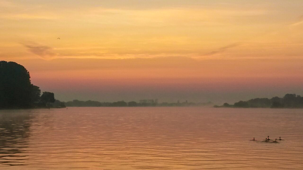 Zollenspicker_060917