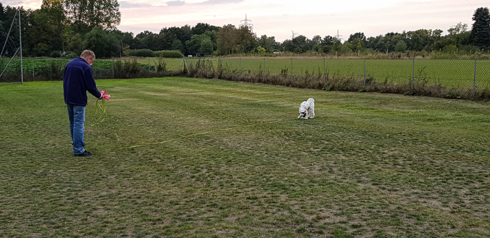 Edna in Winsen300918