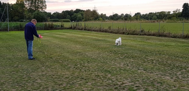 Edna in Winsen300918