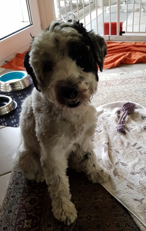 Edna in Winsen300918_4