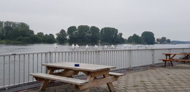 Volksdorf_Tour_040918_12