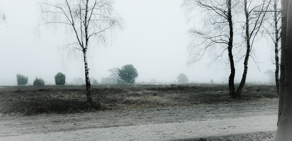 PSX_20181231_181033(39)