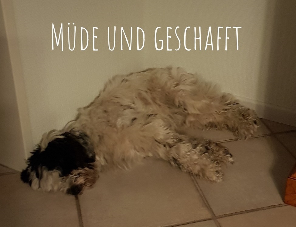 PSX_20181231_190819(41)