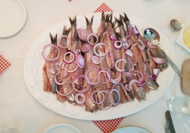 PSX_20190707_200047(49)