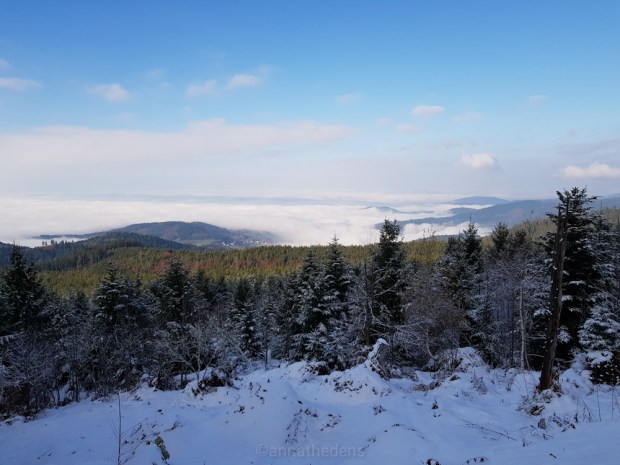 PSX_20191120_190603(185)