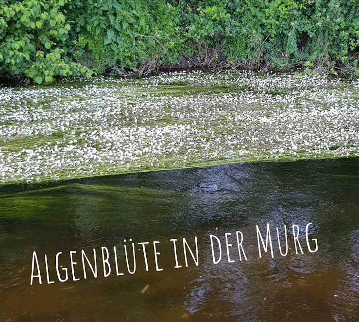 PSX_20200527_224600(199)