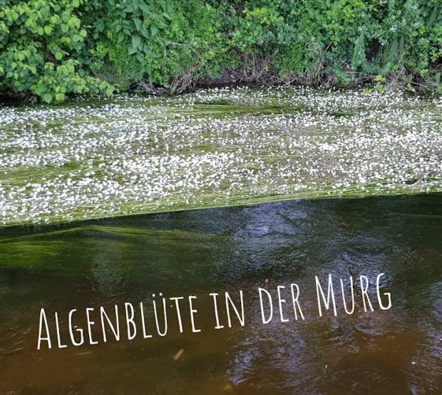 PSX_20200527_224600(199)